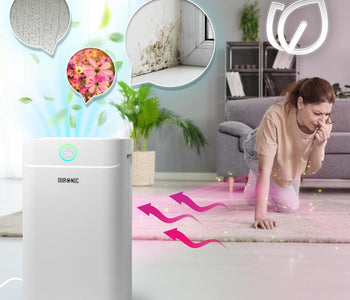 Deumidificatore Duronic: come scegliere il modello giusto per casa, muffa, condensa e bucato