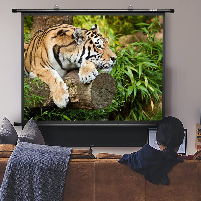 Duronic BPS40 4:3 Telo Proiettore 40 pollici, Schermo per proiettore, Telo da proiezione interno esterno, Home theater cinema Full HD 3D 4K, Schermo di proiezione anti pieghe per casa ufficio scuola