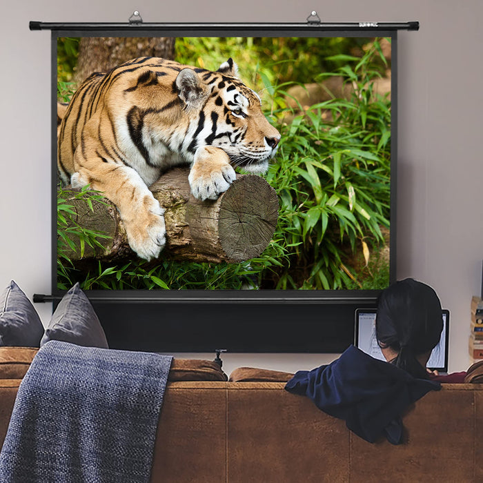 Duronic BPS80 4:3 Telo Proiettore 80 pollici, Schermo per proiettore, Telo da proiezione interno esterno, Home theater cinema Full HD 3D 4K, Schermo di proiezione anti pieghe per casa ufficio scuola