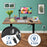 Duronic CD140 BO Scrivania Elettrica Regolabile in Altezza 140x60 cm, Desk Sit Stand Motorizzato 72-118 cm con Memorie USB USB-C, Carico 70 kg, Postazione Ergonomica Ufficio Casa Smart Working (Copy) (Copy)
