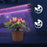 Duronic GLC24 Lampada per piante | 36 lampadine LED rosso e blu a spettro completo 40 W | 3 modalità | 2 teste | Lampada per coltivazione indoor pieghevole | 6 livelli di luminosità