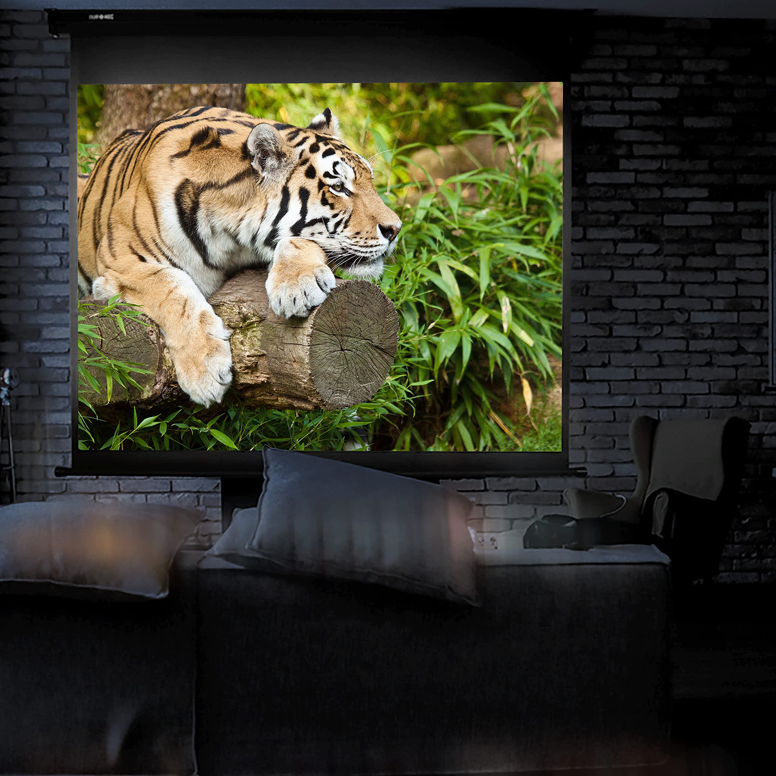 Duronic MPS60 16:9 Telo Proiettore 60 pollici, Schermo per proiettore, Telo da proiezione interno esterno, Home theater cinema Full HD 3D 4K, Schermo di proiezione anti pieghe per casa ufficio scuola