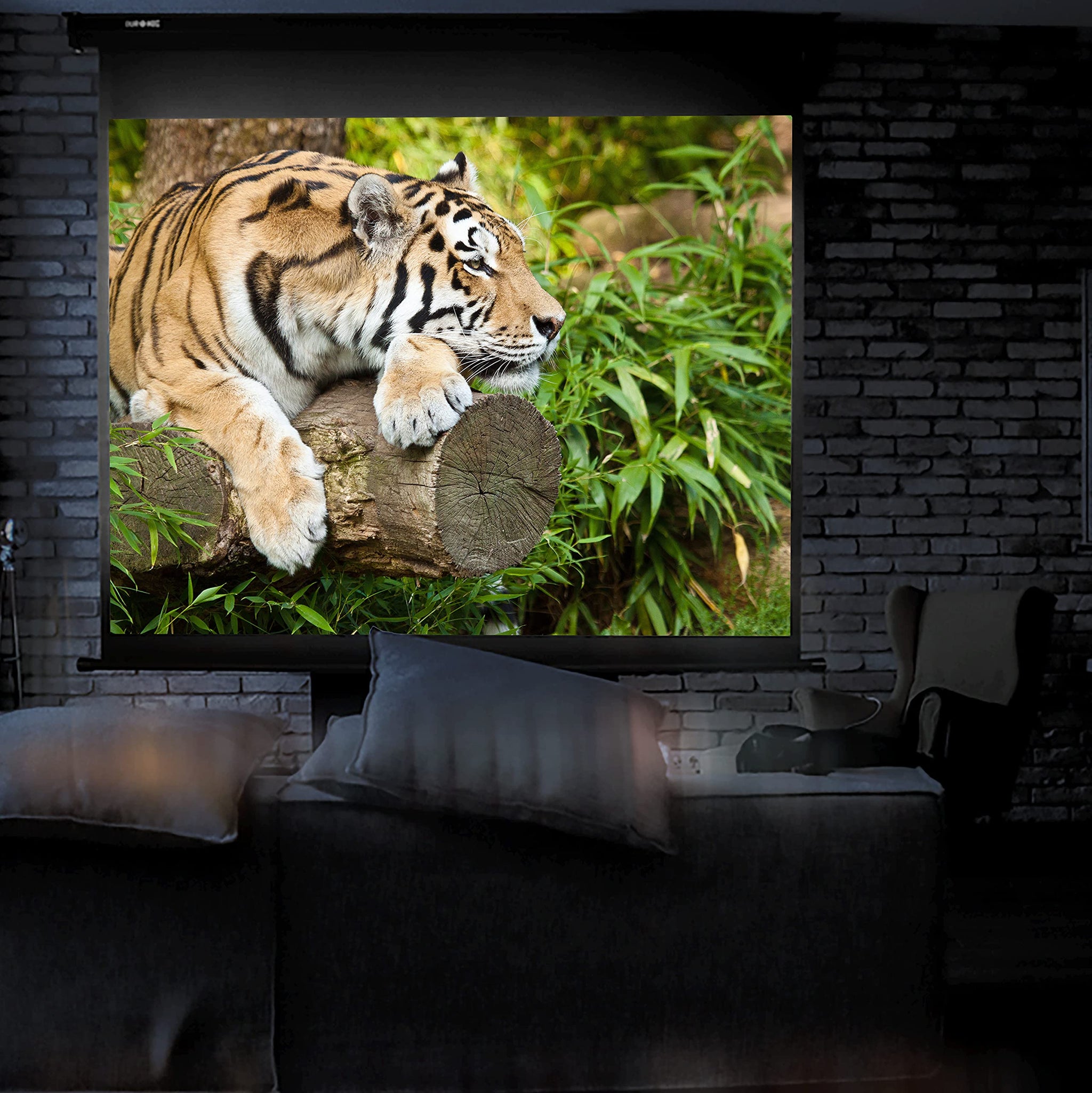 Duronic MPS60 16:9 Telo Proiettore 60 pollici, Schermo per proiettore, Telo da proiezione interno esterno, Home theater cinema Full HD 3D 4K, Schermo di proiezione anti pieghe per casa ufficio scuola