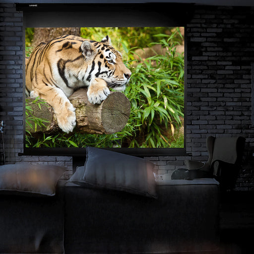 Duronic MPS60 16:9 Telo Proiettore 60 pollici, Schermo per proiettore, Telo da proiezione interno esterno, Home theater cinema Full HD 3D 4K, Schermo di proiezione anti pieghe per casa ufficio scuola